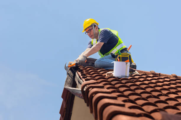 Fast & Reliable Emergency Roof Repairs in Hawaiian Acres, HI